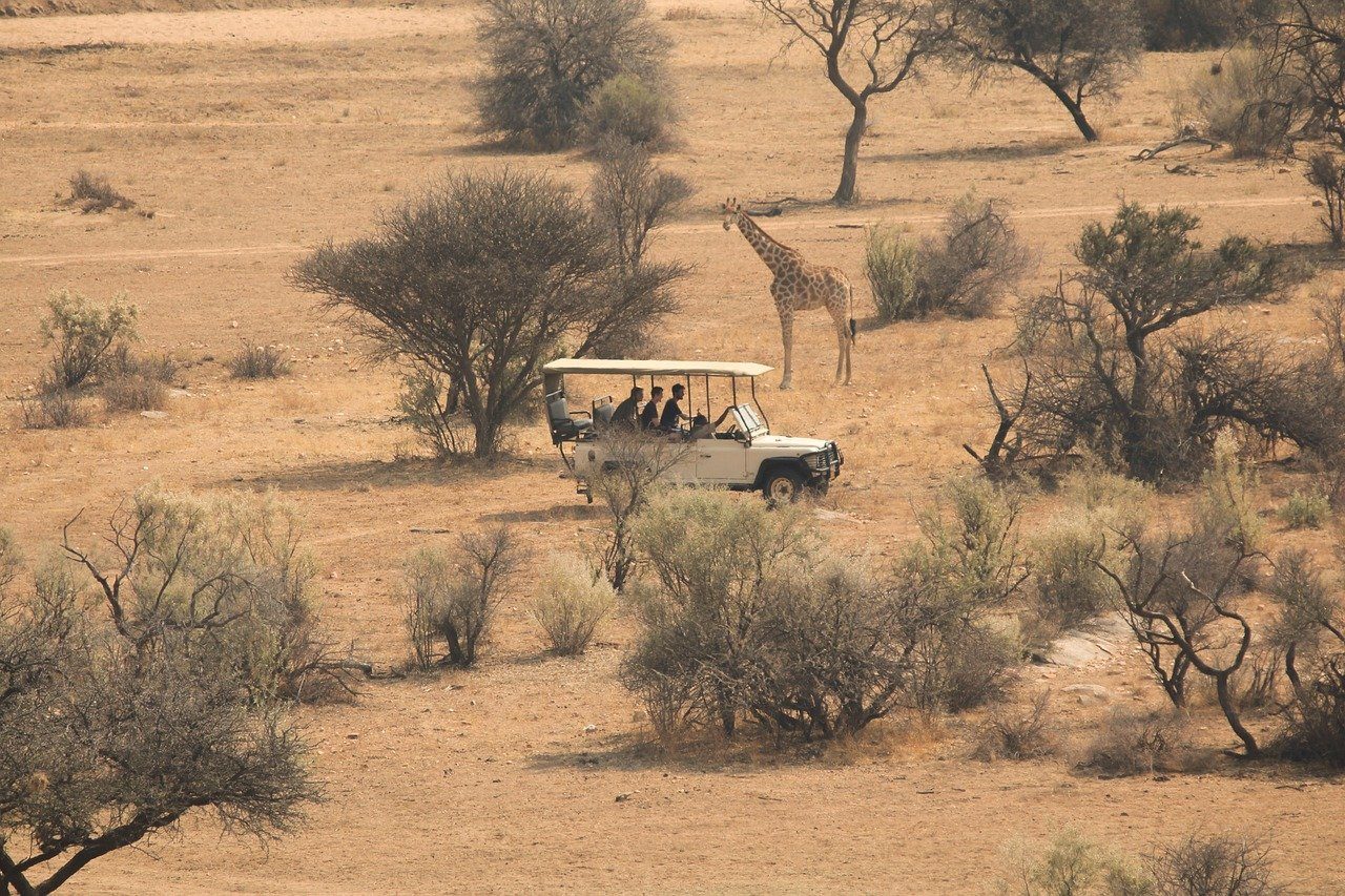 Ongerepte wildernis en onvergetelijke safari: Een safarireis door Botswana's prachtige Noorden